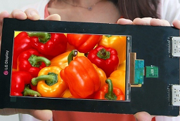 IL PRIMO DISPLAY LCD QUADHD E' MARCHIATO LG